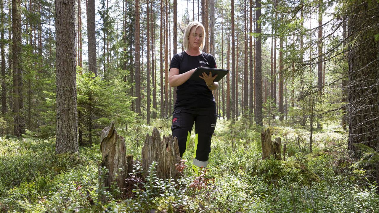 Female forwarder operator in forest